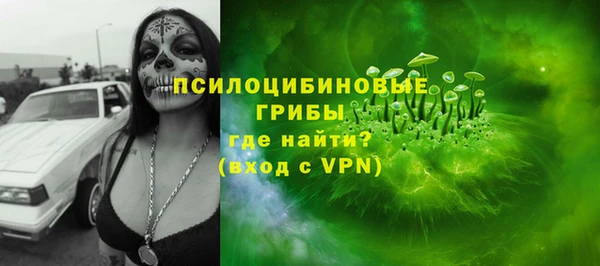 крисы Лабытнанги