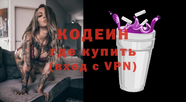 крисы Лабытнанги