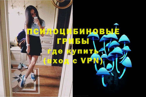 МДМА Ладушкин