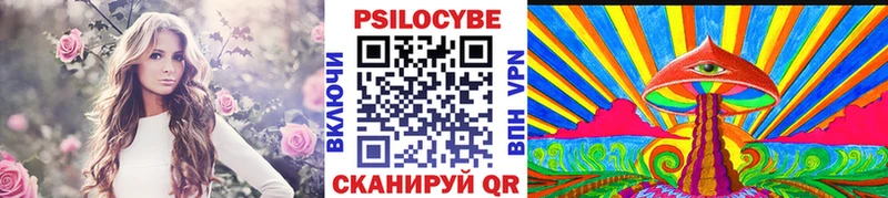Купить  Новоалександровск  Галлюциногенные грибы Magic Shrooms 